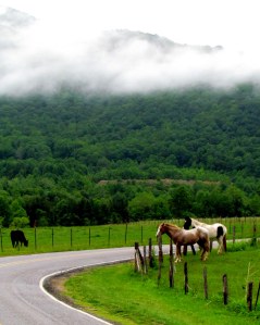 Horses, Mountains, Clouds