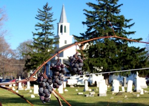 Vineyard and Church, Hector, NY; photo by GAC